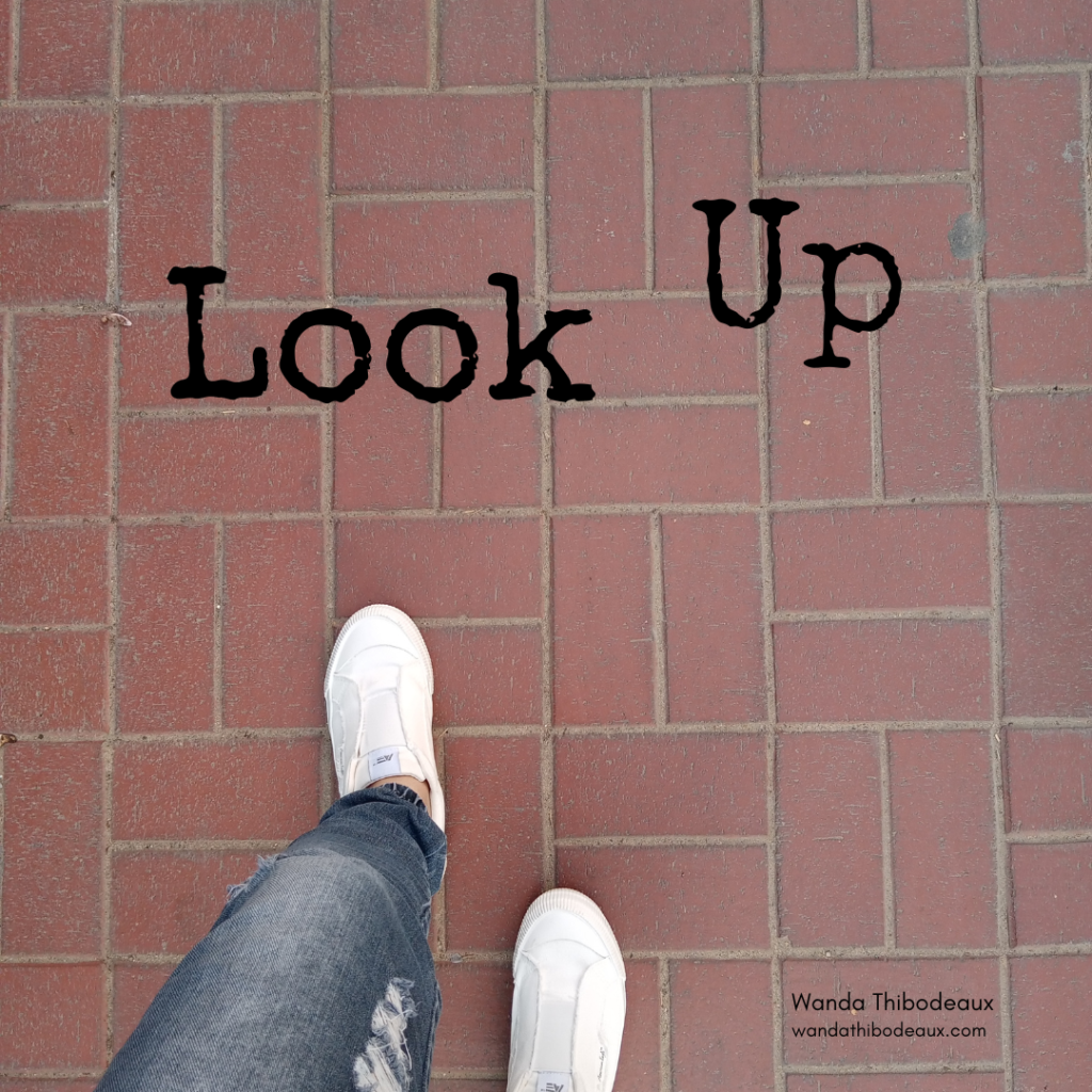 Look up