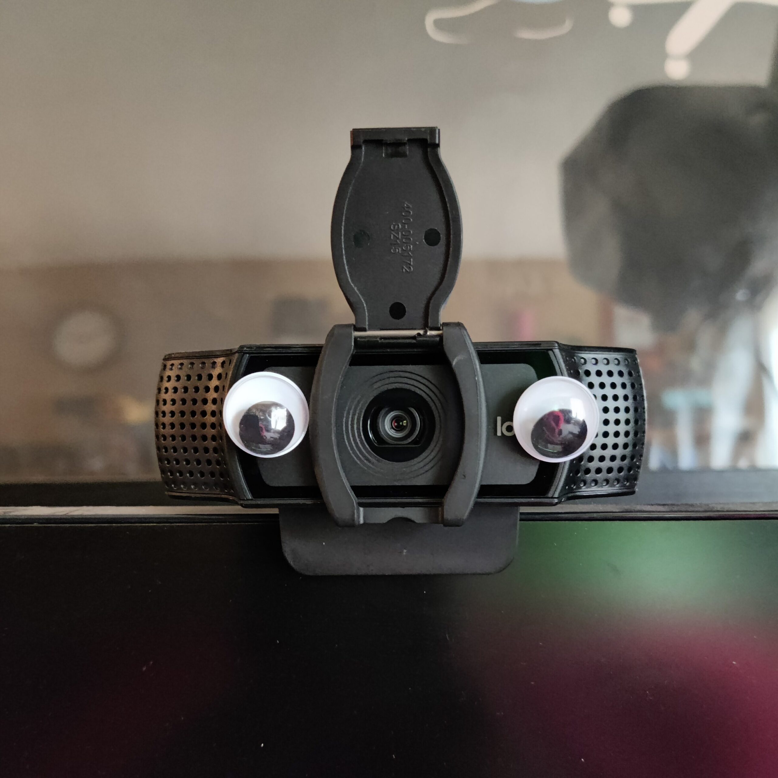 Googly eyes on external laptop video camera; silliness and core self concept